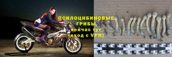PSILOCYBIN Магадан