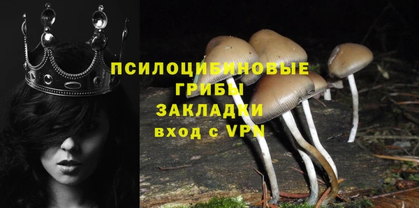 PSILOCYBIN Магадан