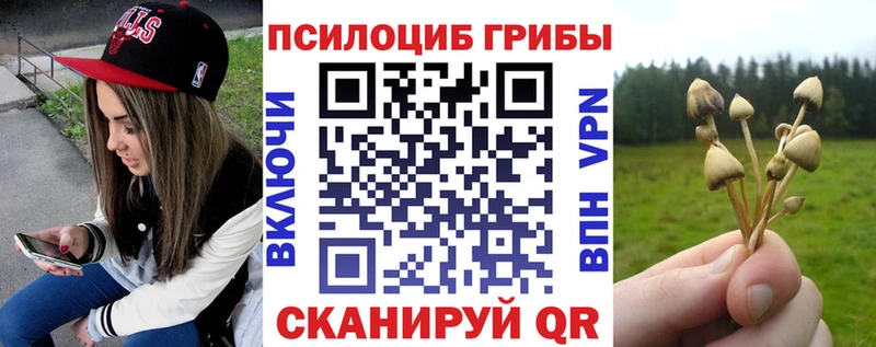 Псилоцибиновые грибы мицелий  Купить закладки  Кукмор 